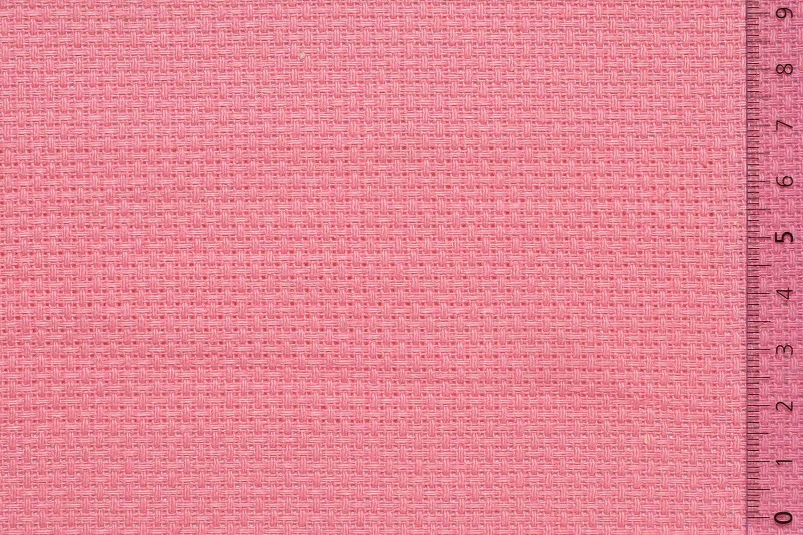 06AID40PINxxxCOT[AIDAMAS 40](PINK)F